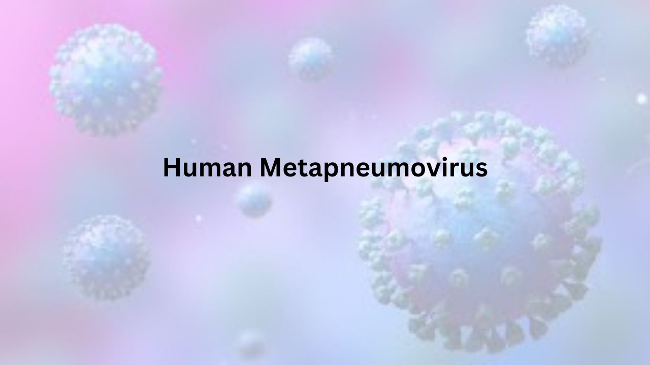 Read more about the article Human Metapneumovirus: Everything You Need to Know About This Silent Respiratory Threat